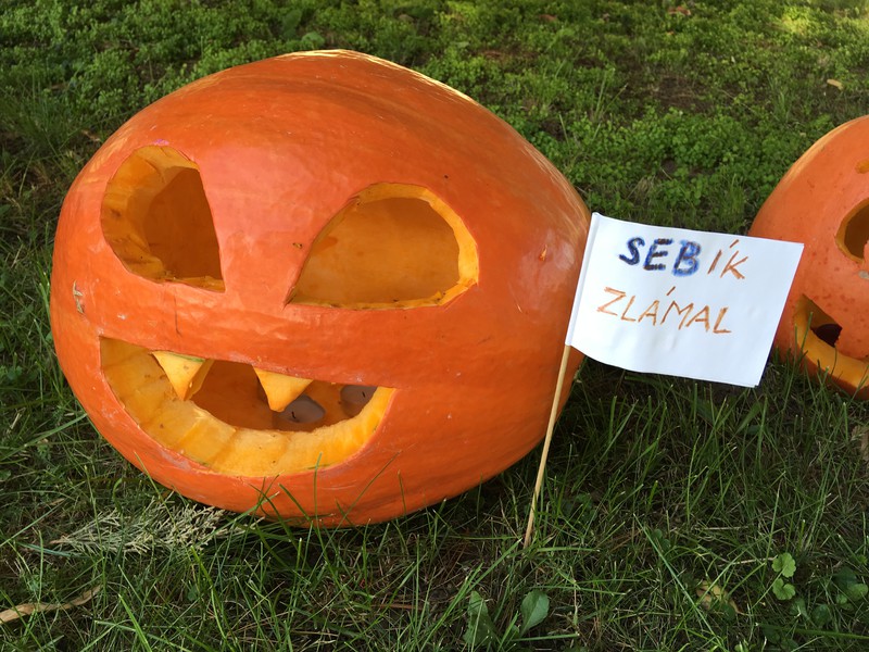 Dýně u zastávky (2018)