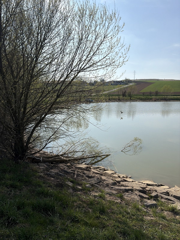 Rybník (2026)