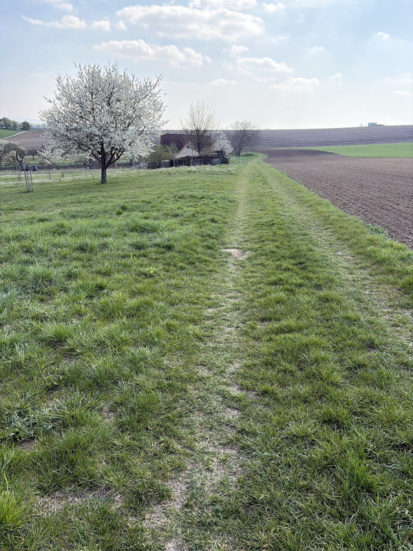 Cesta nad Dražůvkama (2026)