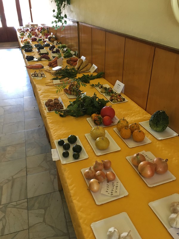 Výstava ovoce, zeleniny, zvířat a ptactva (2019)