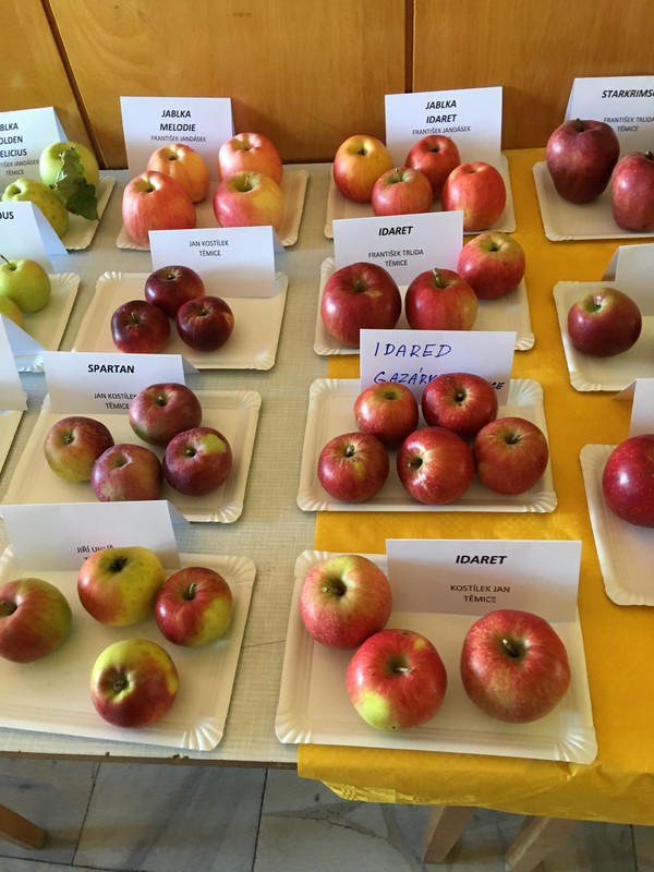 Výstava ovoce, zeleniny, zvířat a ptactva (2019)