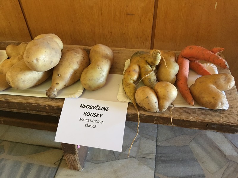 Výstava ovoce, zeleniny, zvířat a ptactva (2019)