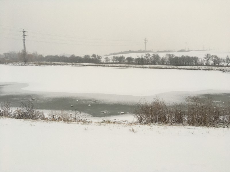 Zasněžený rybník (2020)