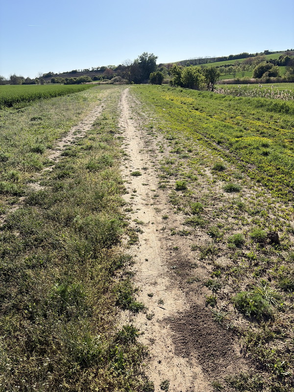 Polní cesta ku Bzenci (2026)