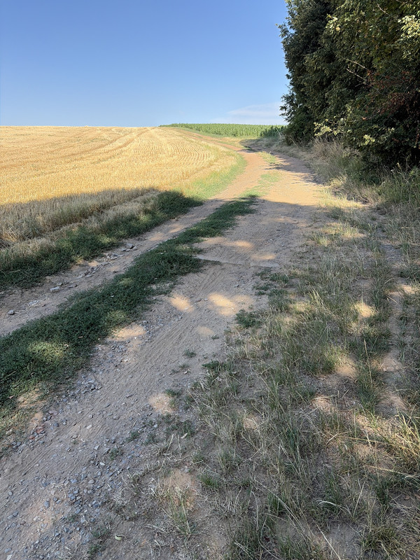 Cesta od cihelny k vodárně (2026)