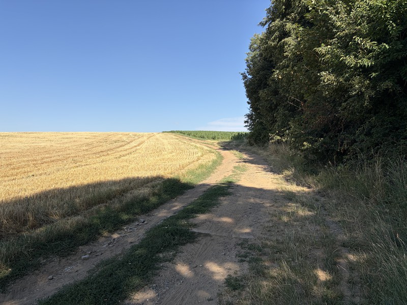 Cesta od cihelny k vodárně (2026)