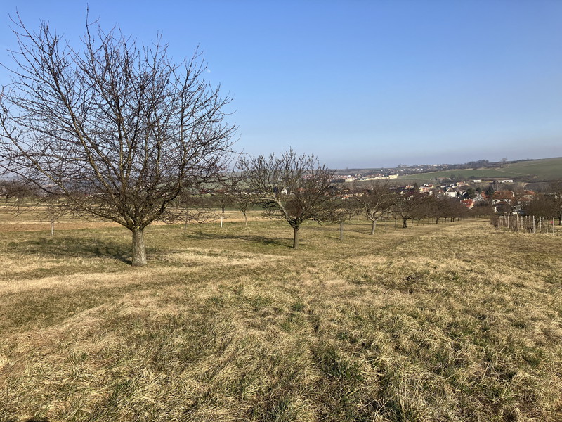 Sady nad Dražůvkama (2023)