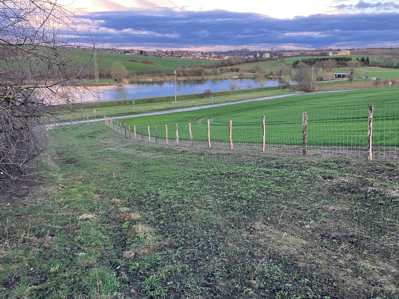 Biokoridor na jaře (2024)