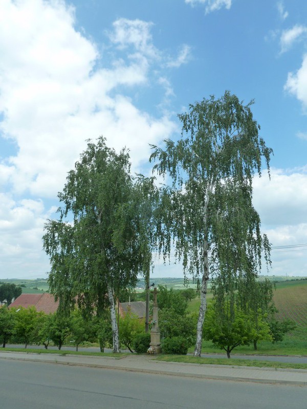 Kříž z roku 1801 (2011)