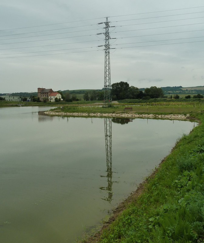 Těmický rybník (2012)