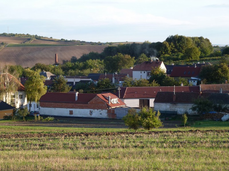 Náhled na Těmice (2012)