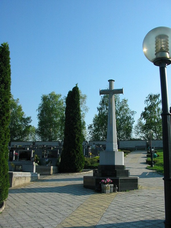 Kříž na hřbitově v Domaníně (2009)