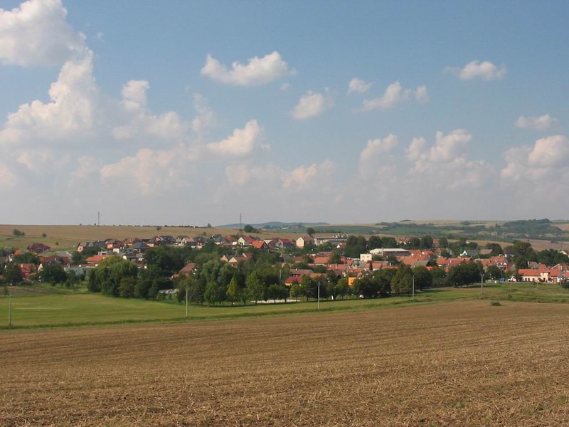 Pohled na Těmice od Domanína (2009)