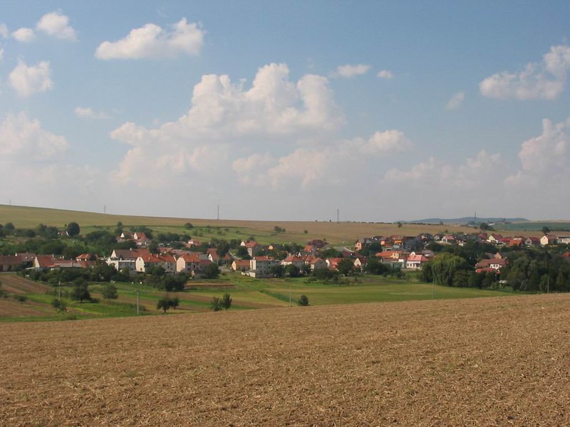 Pohled na Těmice od Domanína (2009)