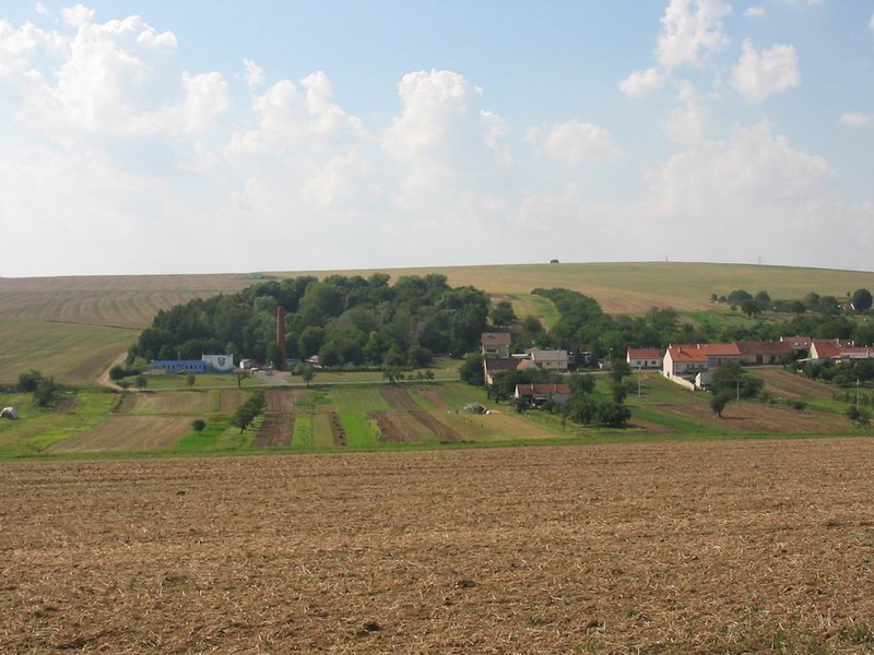 Pohled na Těmice od Domanína (2009)