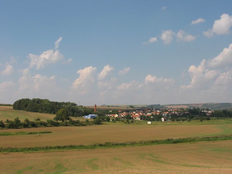 Pohled na Těmice od Domanína (2009)