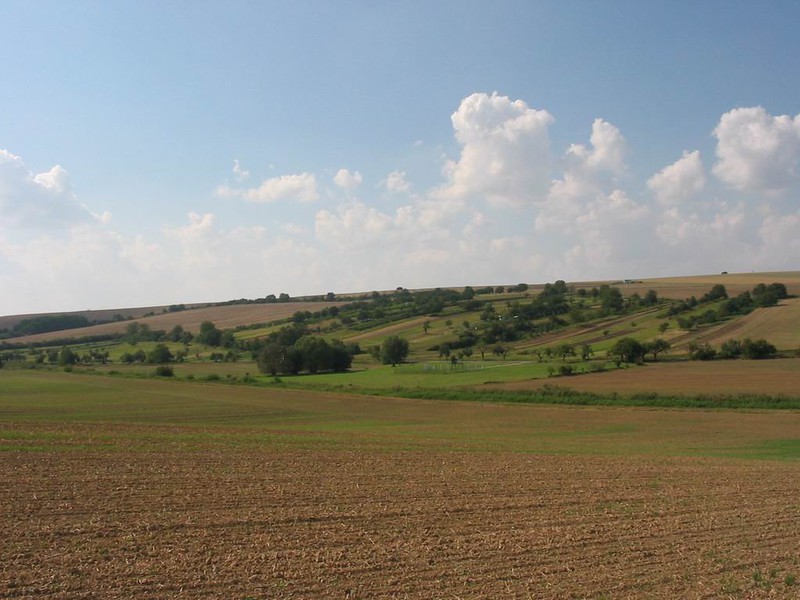 Pohled na Těmice od Domanína (2009)