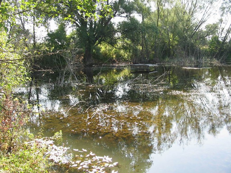 Vodní plocha za mlýnem (2009)