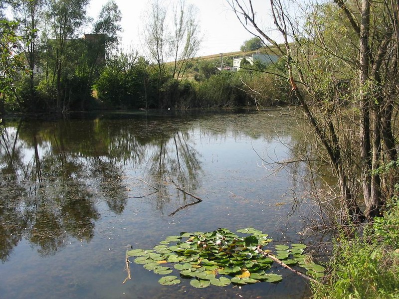 Vodní plocha za mlýnem (2009)