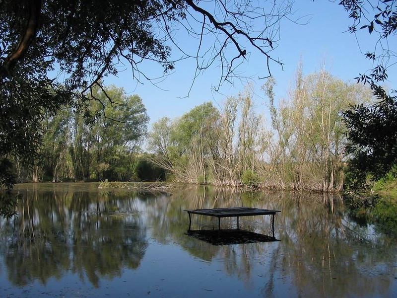 Vodní plocha za mlýnem (2009)
