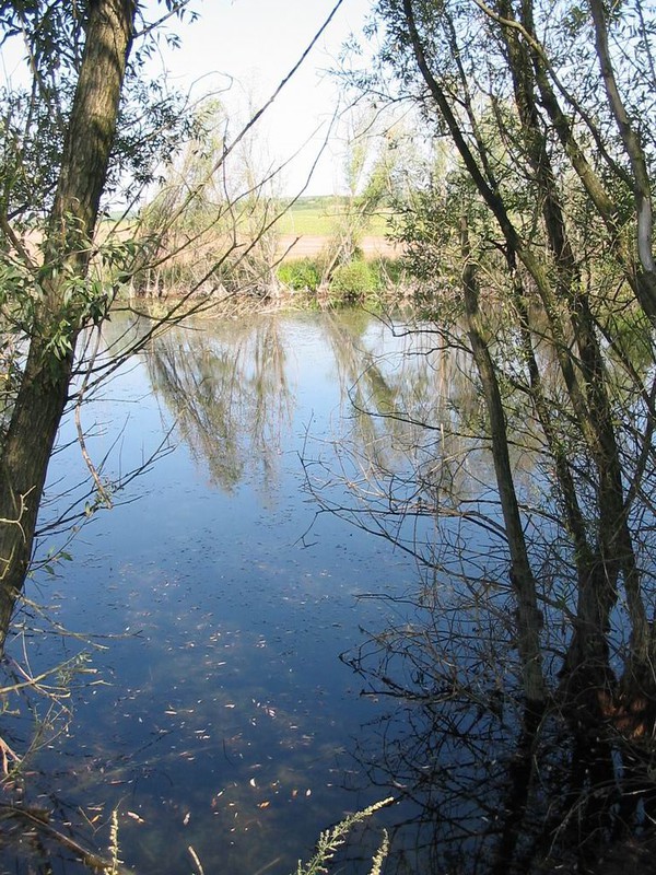 Vodní plocha za mlýnem (2009)