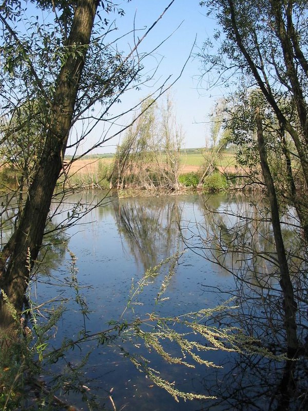 Vodní plocha za mlýnem (2009)