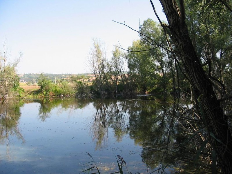 Vodní plocha za mlýnem (2009)
