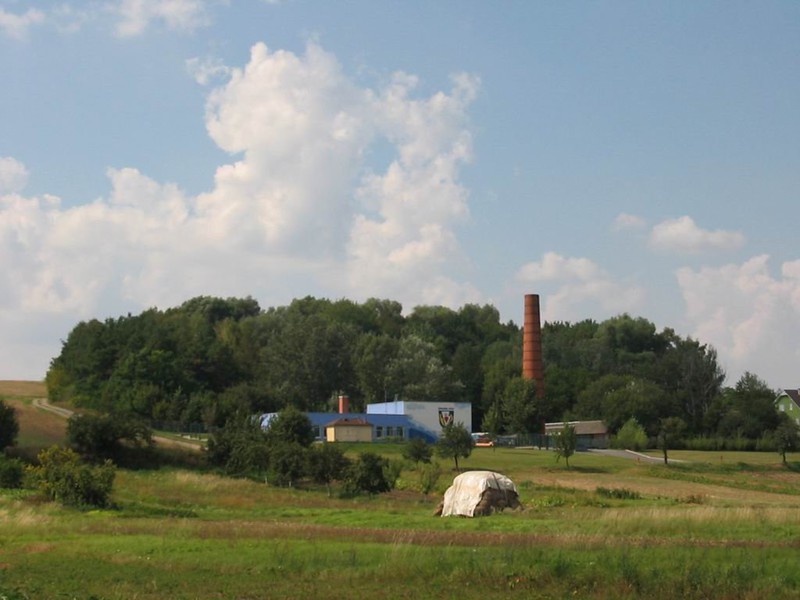 Těmický lesík (2009)
