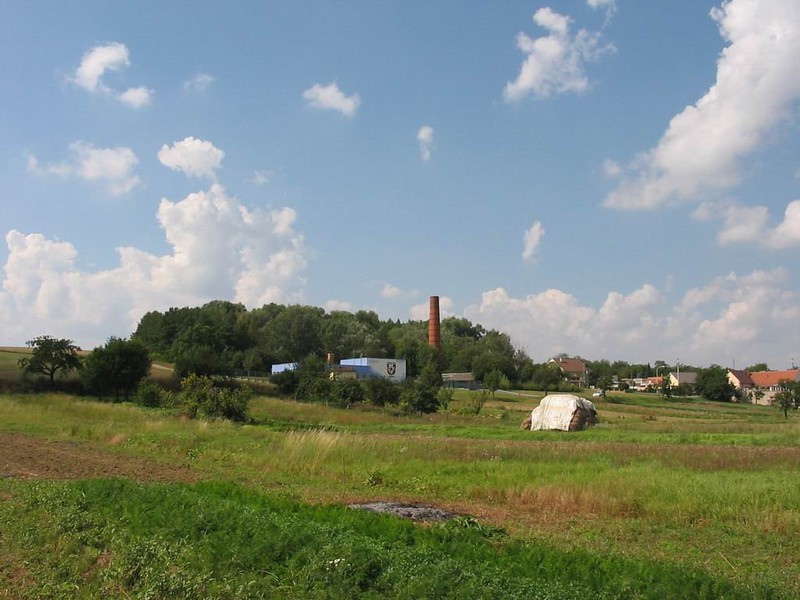 Těmický lesík (2009)