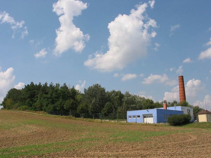 Těmický lesík (2009)