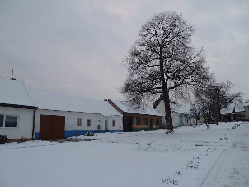 Dům č.p. 48 v zimě (2010)
