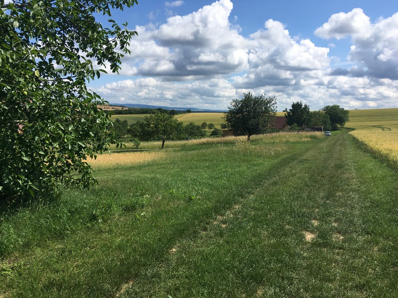 Polní cesta nad Dražůvkami (2022)