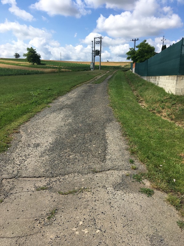 Polní cesta nad Dražůvkami (2022)