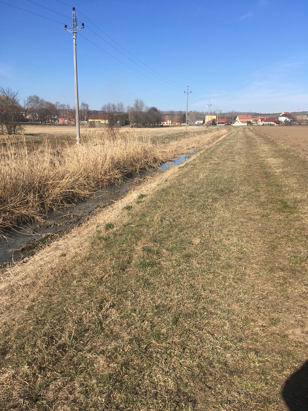 Polní cesta kolem Syrovínky (2022)