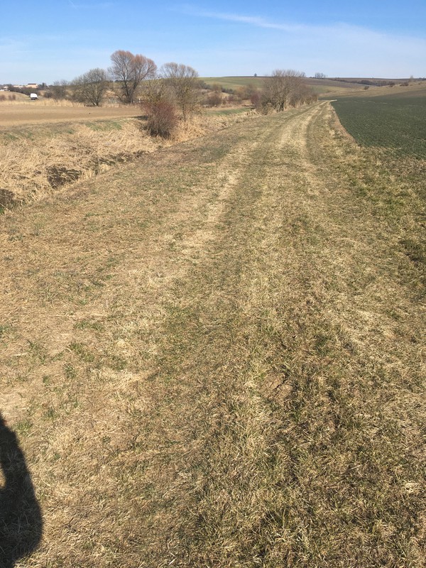 Polní cesta kolem Syrovínky (2022)
