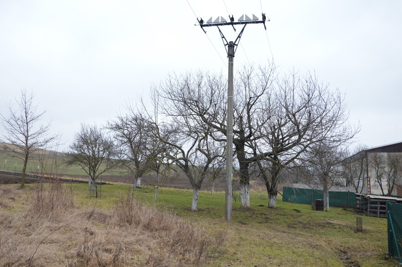 Cesta za novou ulicí (2026)