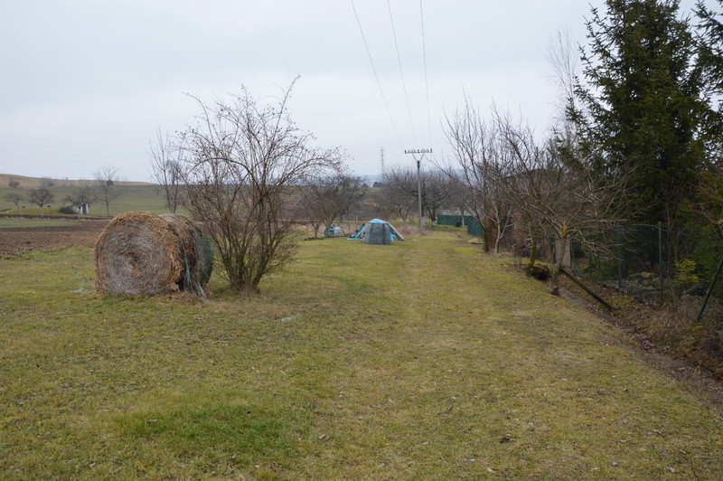 Cesta za novou ulicí (2026)