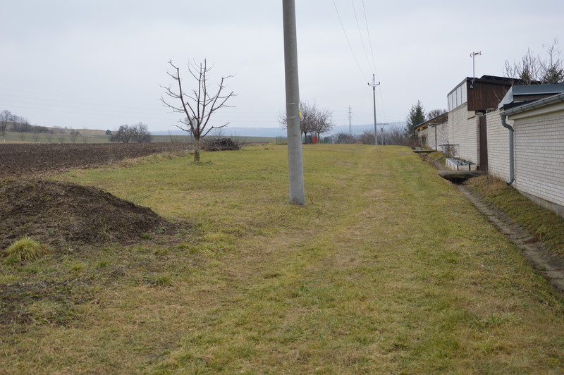 Cesta za novou ulicí (2026)